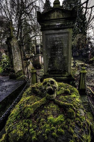 Servicio Completo de Limpieza para Casos Graves y Gravísimos