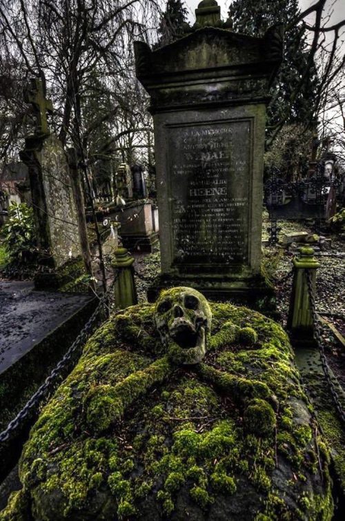 Servicio Completo de Limpieza para Casos Graves y Gravísimos