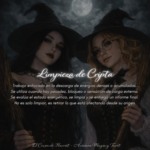 LIMPIEZA DE CRIPTA - Portafolio arcano